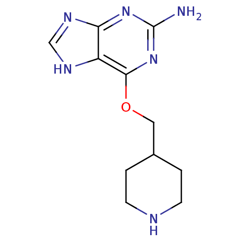 PNG