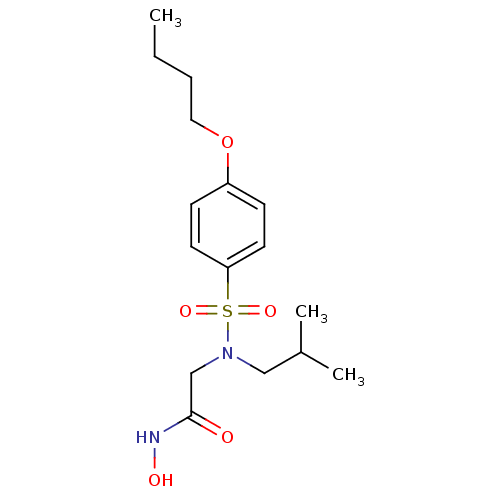 PNG