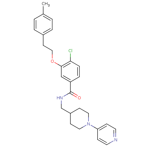 PNG