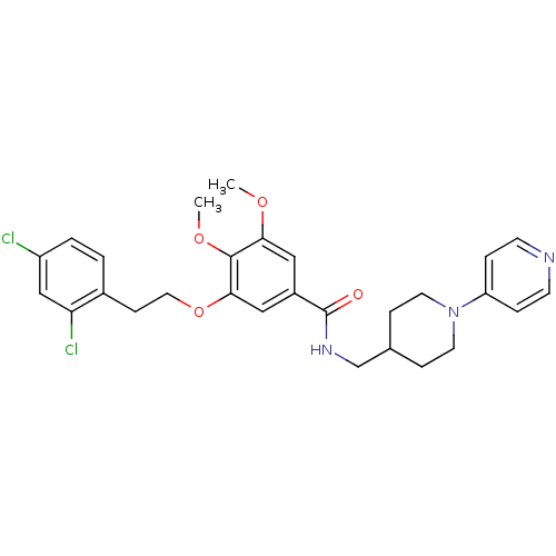 PNG