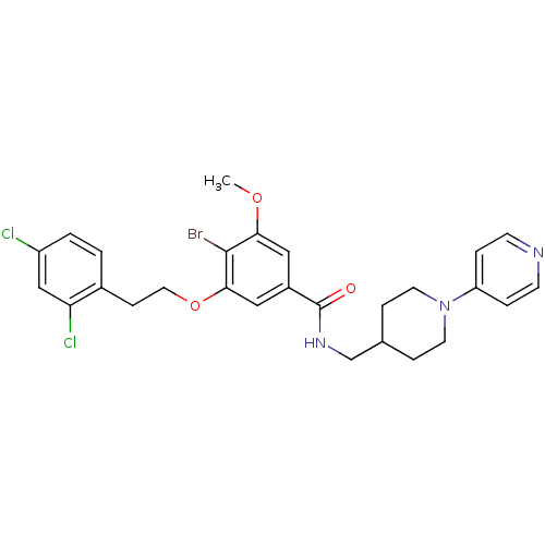 PNG
