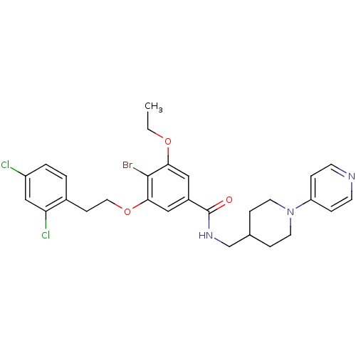 PNG