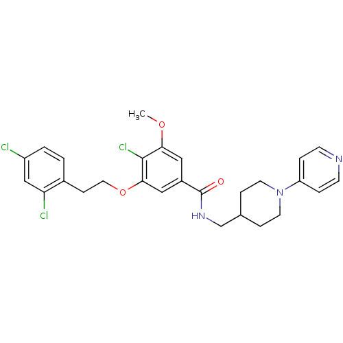PNG