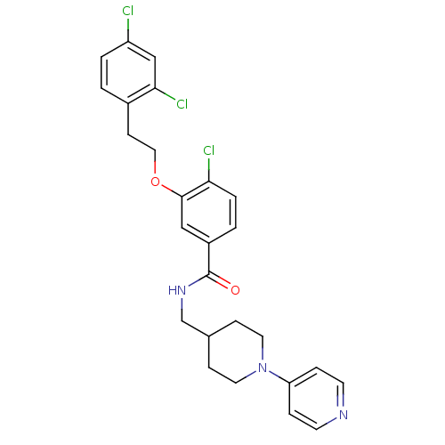 PNG