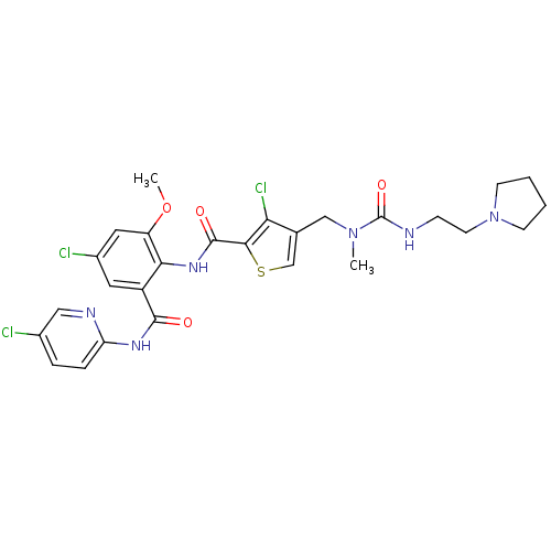PNG