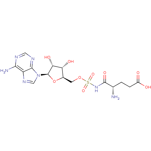 PNG