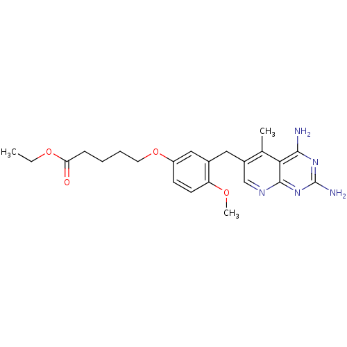 PNG