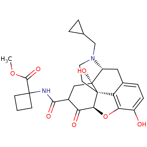 PNG