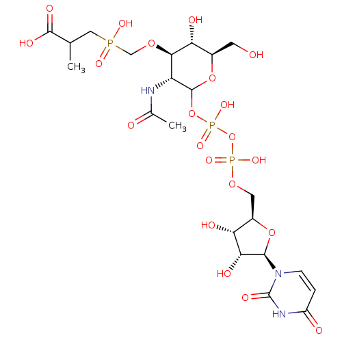 PNG