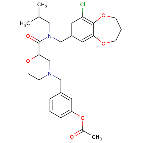 PNG