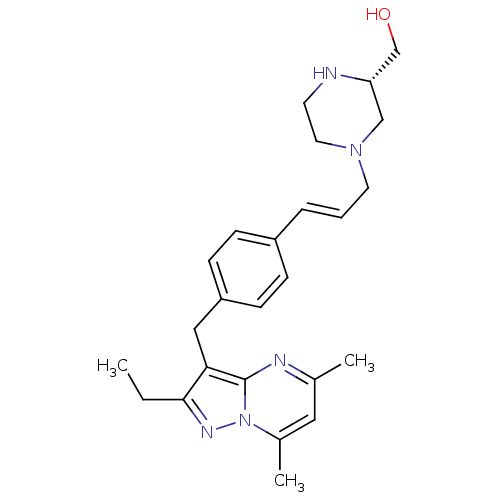PNG