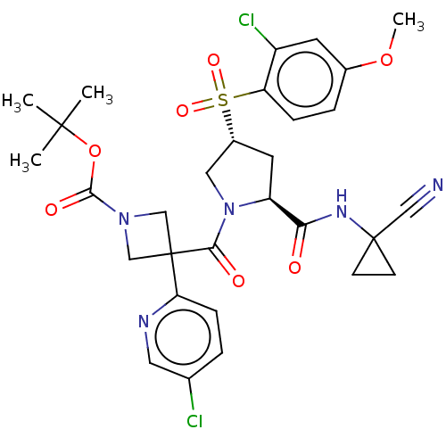 PNG