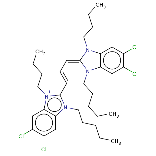 PNG