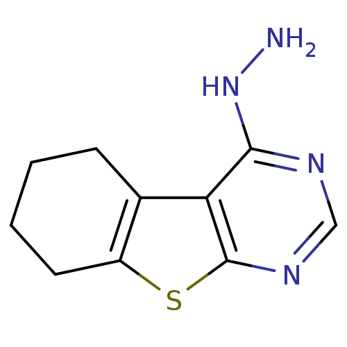 PNG