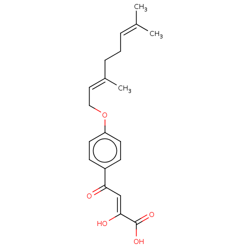 PNG