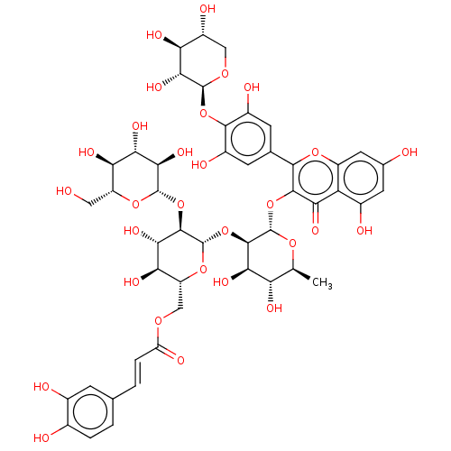PNG