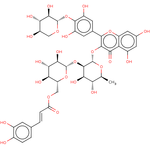 PNG