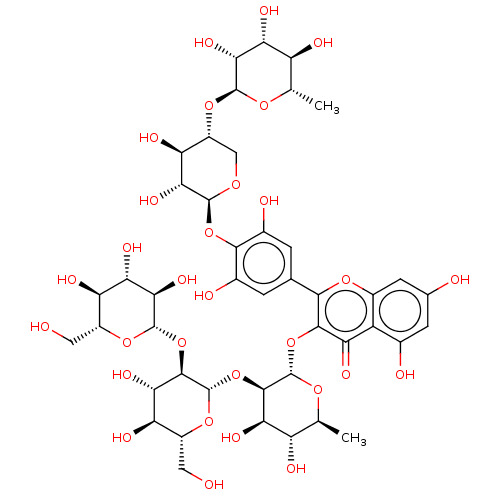 PNG