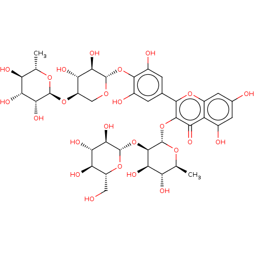PNG