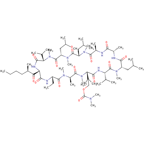 PNG