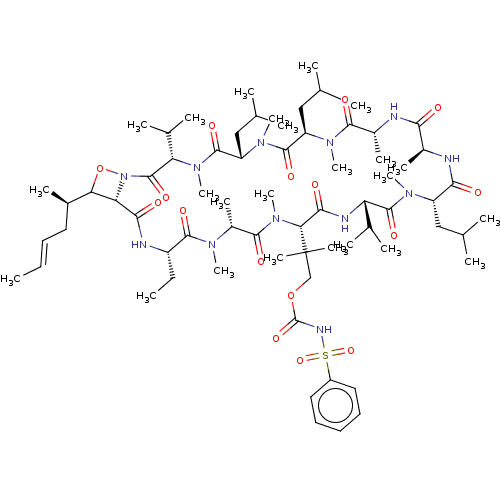 PNG