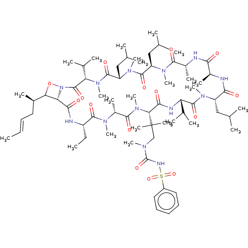 PNG
