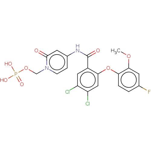 PNG