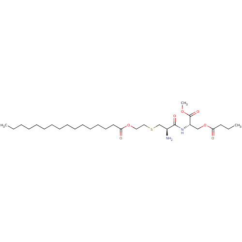 PNG