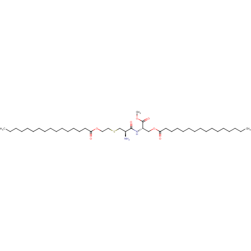 PNG