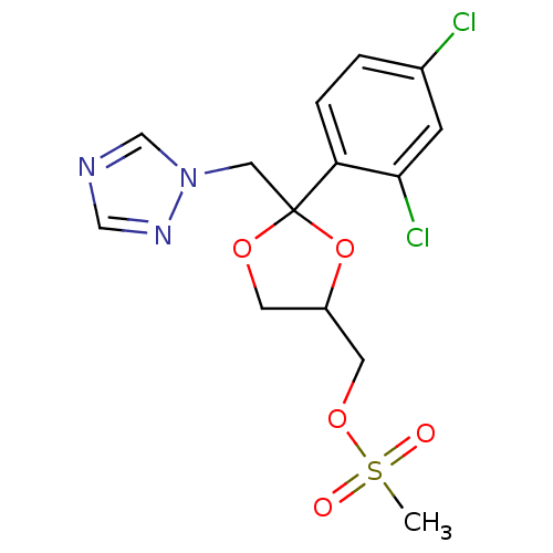 PNG