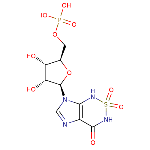 PNG
