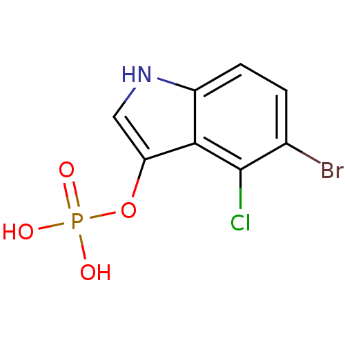 PNG