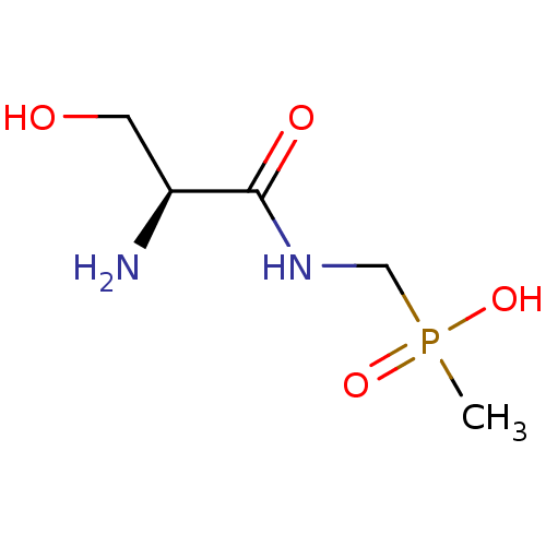 PNG