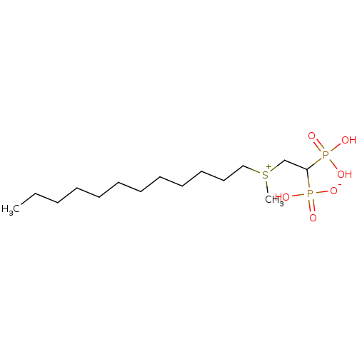 PNG