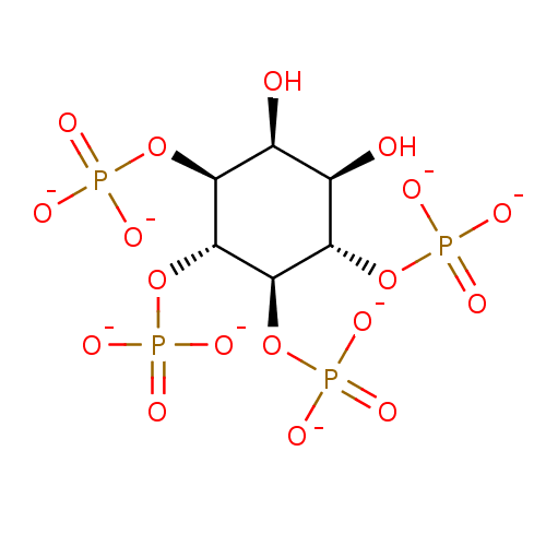 PNG