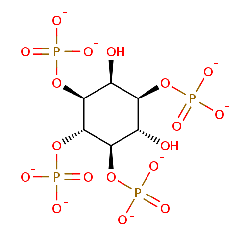 PNG