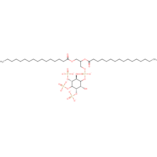 PNG