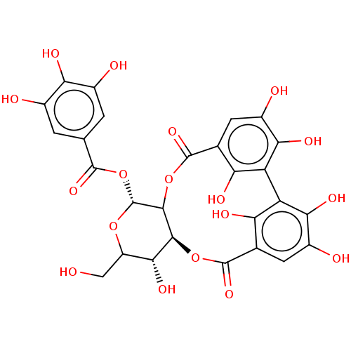 PNG