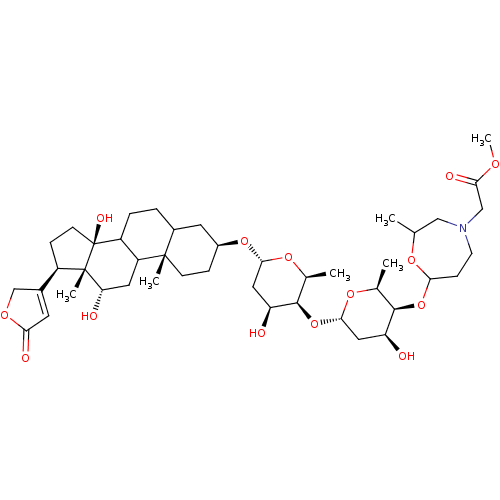 PNG