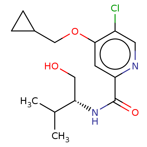 PNG