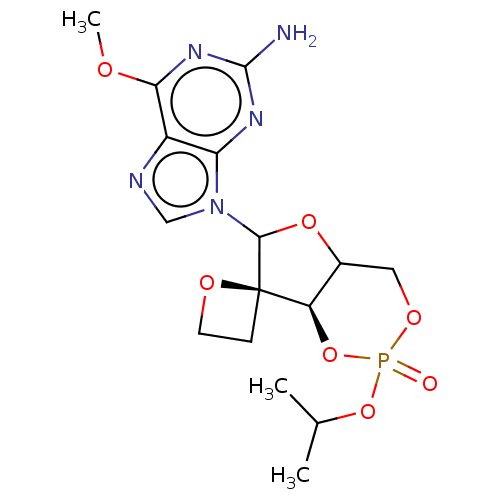 PNG