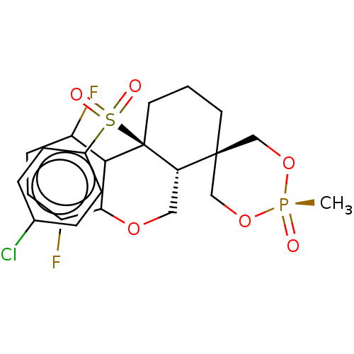 PNG