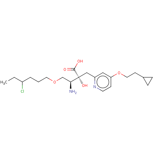 PNG