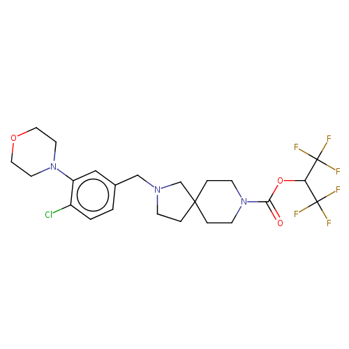PNG