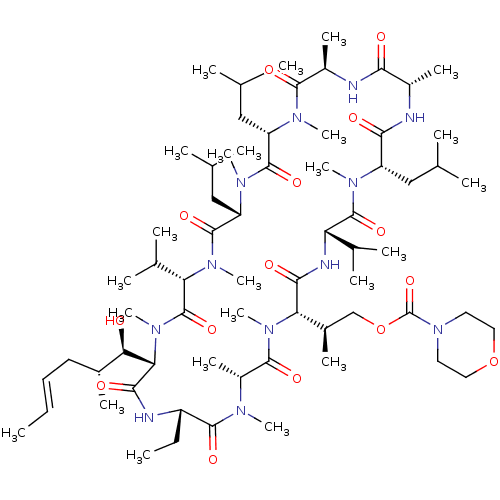 PNG