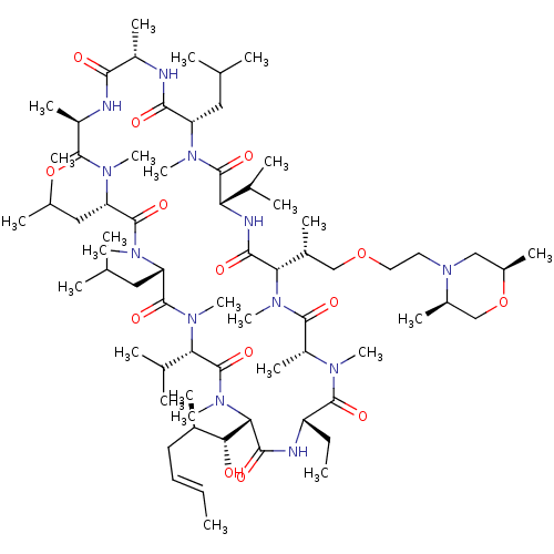 PNG