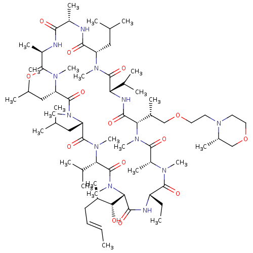 PNG