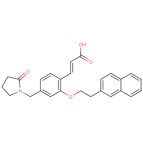 PNG