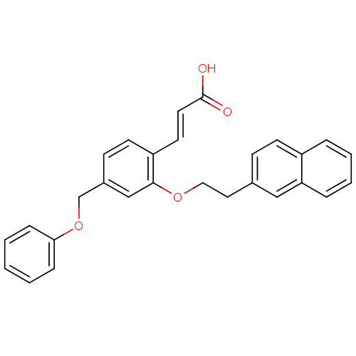 PNG