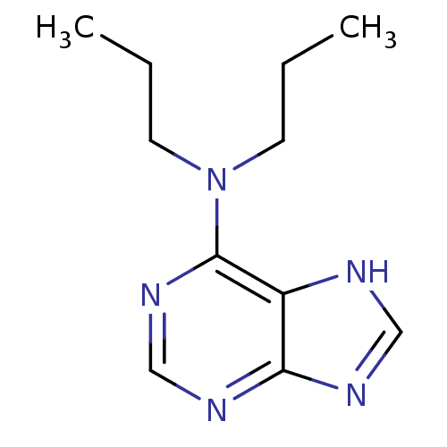 PNG